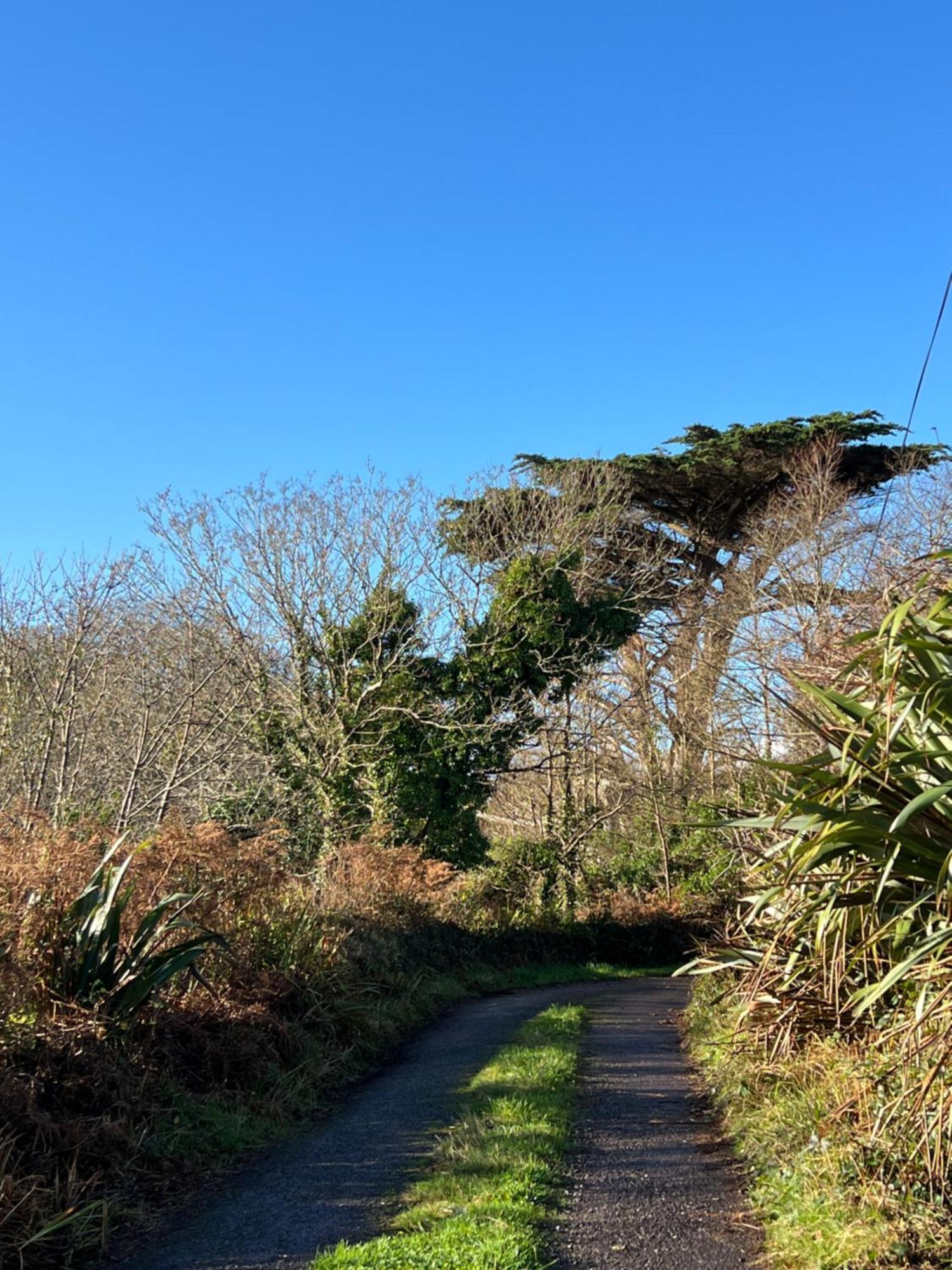 Ancaire Cottage Kilbronogue. Schull Bagian luar foto